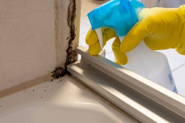 Water Damage Restoration in Bogata, TX
