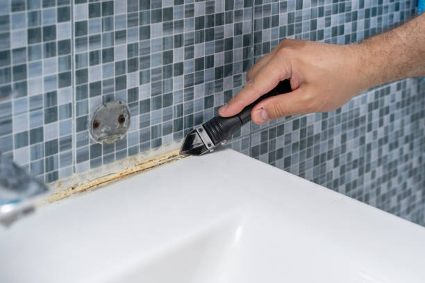 Best Mold Testing and Removal  in Bogata, TX